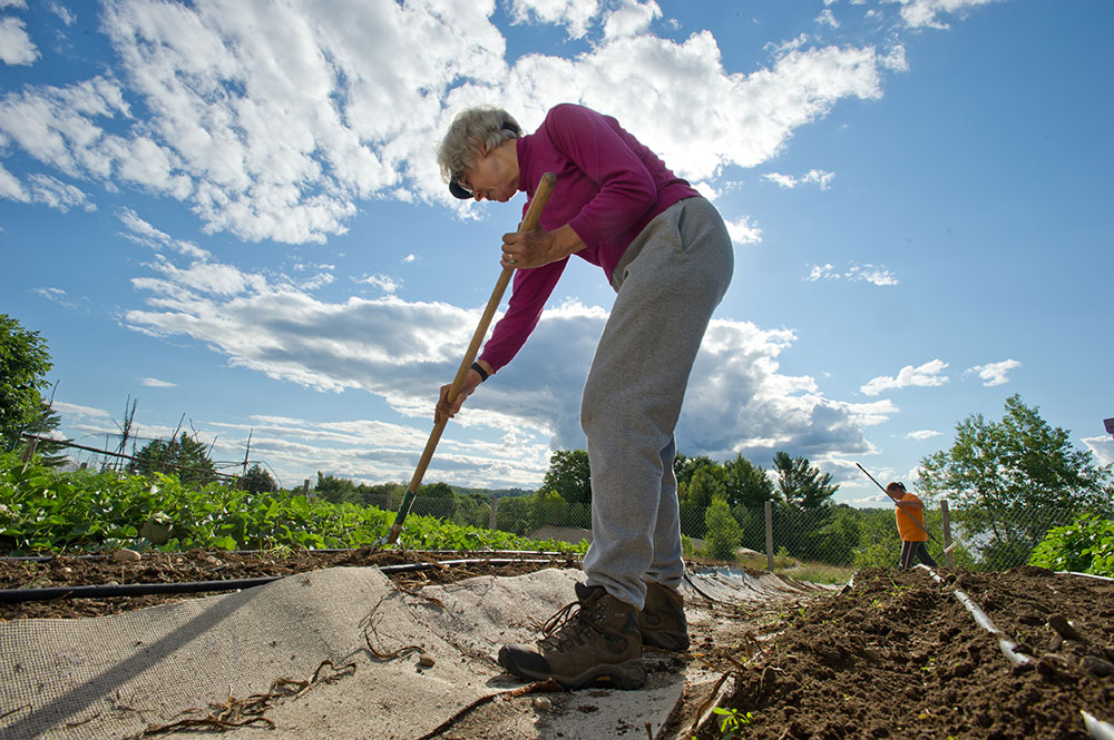 elderly farmer hoeing garden