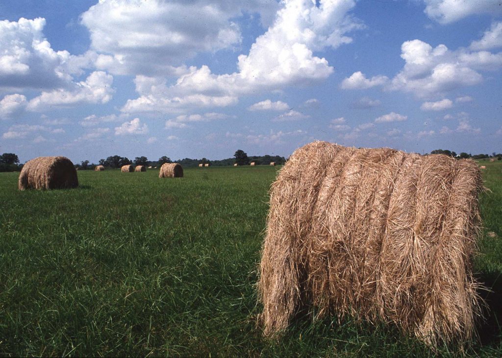 maine-hay-directory-maine-straw-directory-maine-agrability