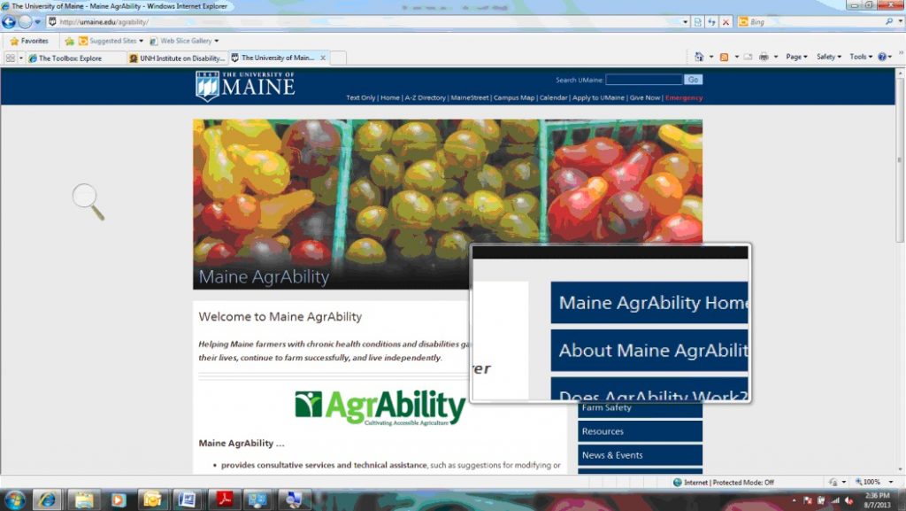 Magnifying a section of the AgrAbility website