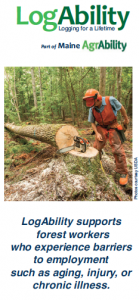 Logger loking at a felled tree 