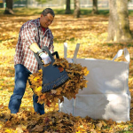 man picking up leaves