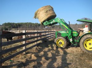 Farmer on tractor moves a large bale of hay into a pasture