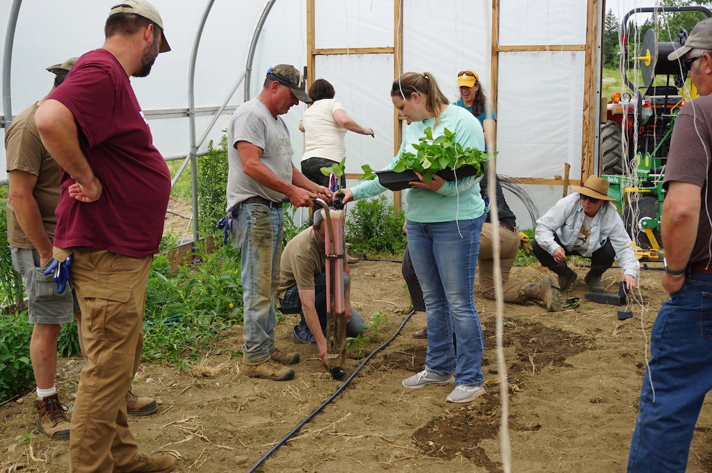 farmers in a high tunnel learning how to use a planting device