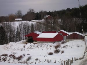 farm in idsitance during the winter