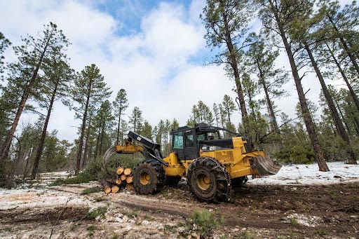 large piece of logging-equipment vehicle in the forest