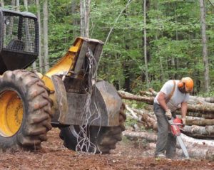 logging equipment vehicle and person using chainsaw in the forest