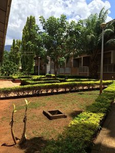 Sokoine University Veterinary School, Morogoro, Tanzania, Nov. 2015