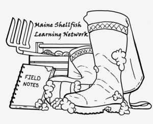 Maine Shellfish Learning Network logo