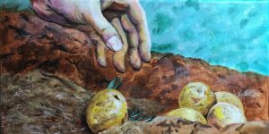 Aroostook Spuds, by artist Deb Bergman