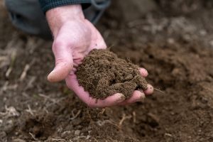 soil in hand