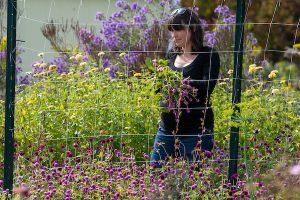 A person holds a bundle of cut flowers in a garden