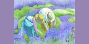 July: “Lavender Sunshine,” Cathy Conn