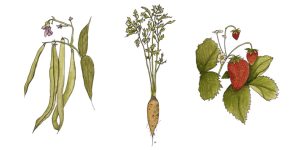 November: “Humble Beginnings,” Annick Galli