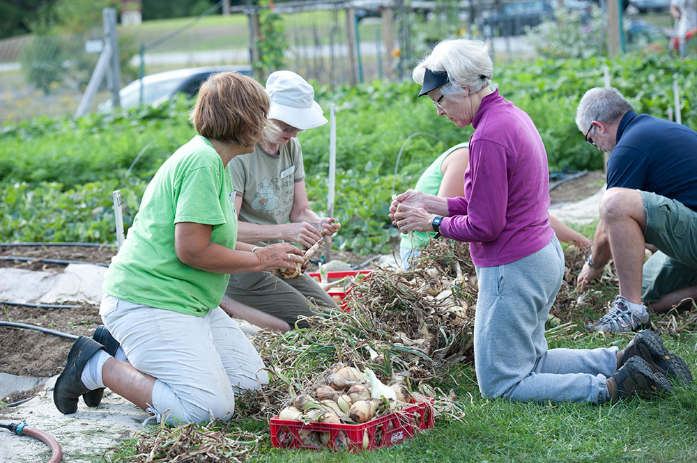 Master Gardener Volunteers - Cooperative Extension in Androscoggin and ...