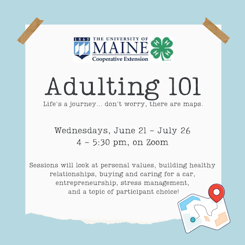 Flyer of Adulting 101 information stated above