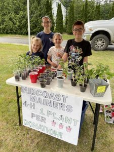 Four children standing behind a plant stand