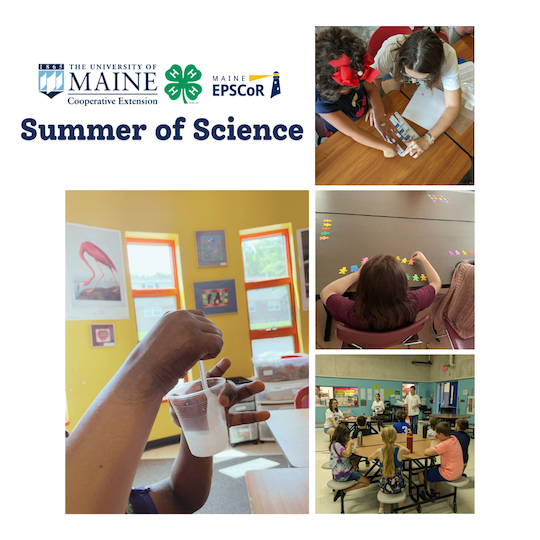 Four photos of children participating in activities, captioned "summer of science"