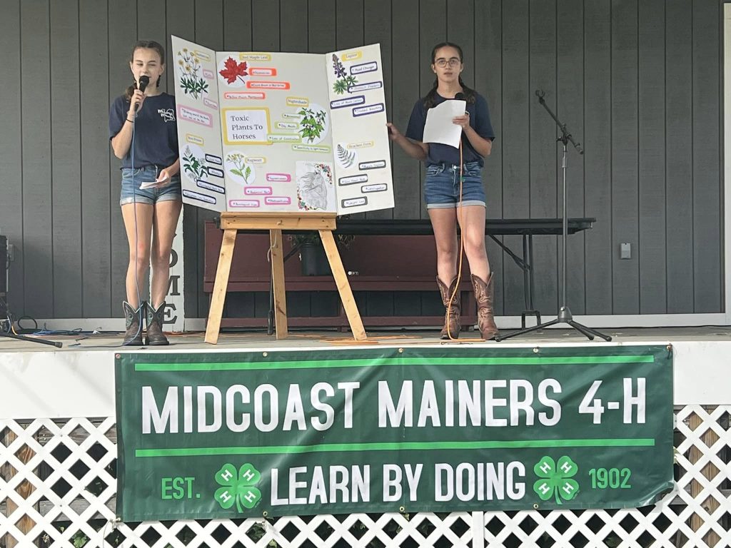 Two youths giving a presentation on a stage.