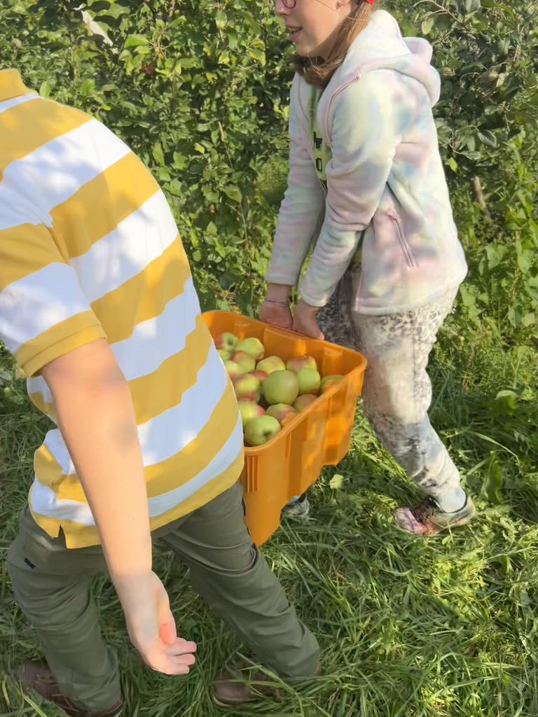 Two Adventurers members carrying a bucket of apples