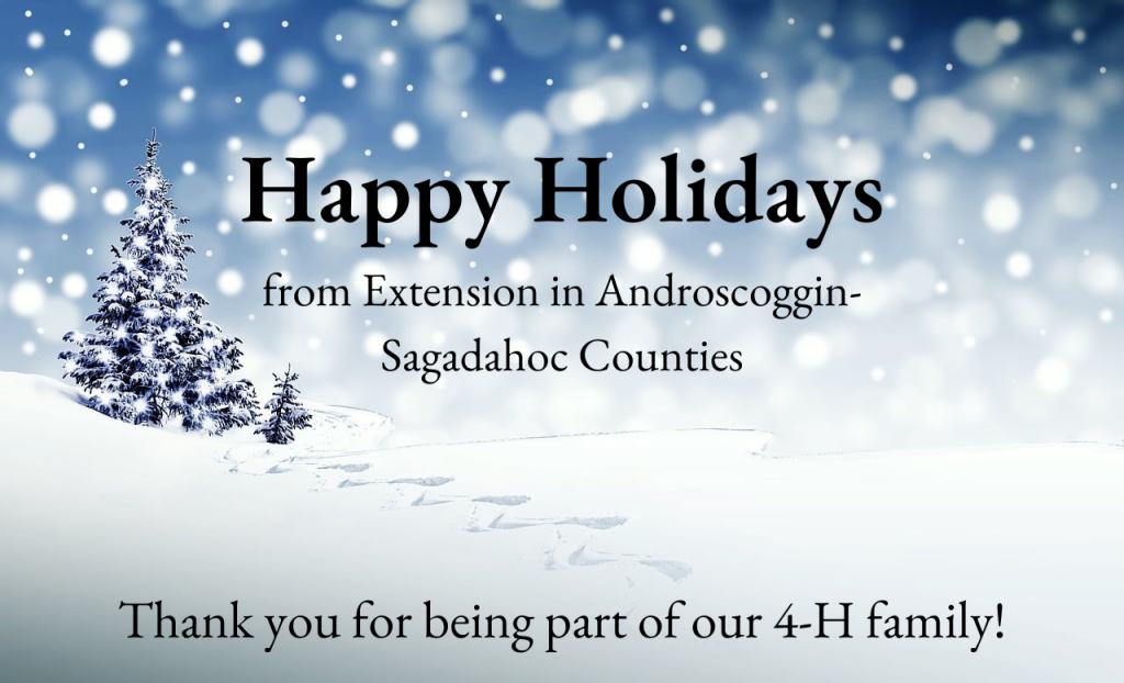 A graphic that states "Happy Holidays from Extension in Androscoggin-Sagadhoc Counties. Thank you for being part of our 4-H family!" over a background of an evergreen tree in a snowy landscape.
