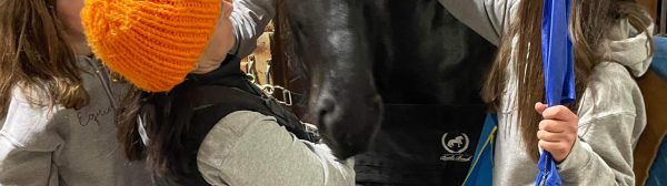 Three Midcoast Mainers members petting a horse