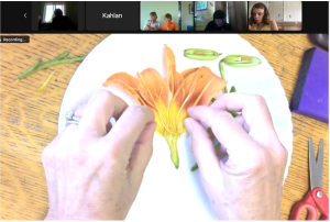 A screenshot of a Zoom workshop. The presenter's hands are dissecting a flower. Workshop participants can be seen above the presenter's video.