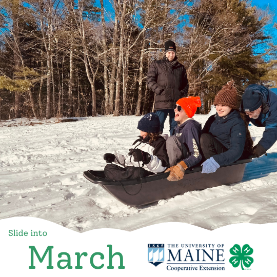 A graphic featuring a photo of 3 children being pushed on a sled, captioned "Slide into March".