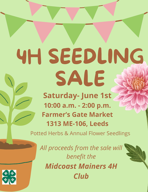 A flyer titled "4H Seedling Sale". Full text below.