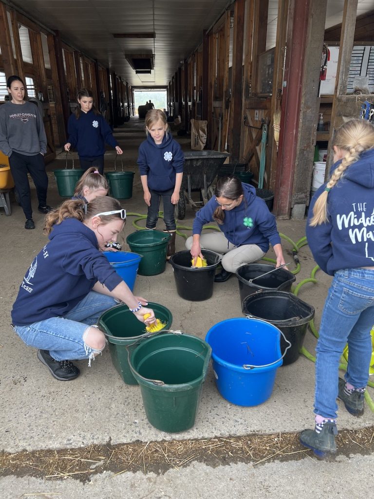 Midcoast Mainers cleaning buckets.
