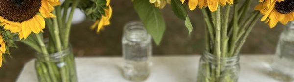 Cut sunflowers in mason jars on a table with prices marked, and instructions that read: Add 1 teaspoon sugar, 1 teaspoon vinegar to make your sunflowers last longer.