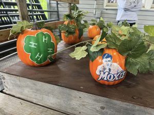 Pumpkins painted with the 4-H clover and the Moxie logo.