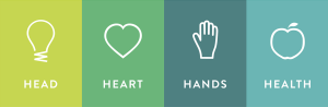 Graphic of the four H's with associated icons: Head, with a lightbulb icon; Heart, with a heart shape icon; Hands with a hand icon; and Health with an apple icon.