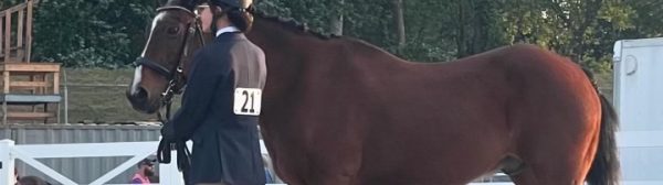 A Midcoast Mainer guiding a horse in a competition area.