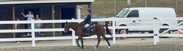 A Midcoast Mainer riding a horse in a competition area.