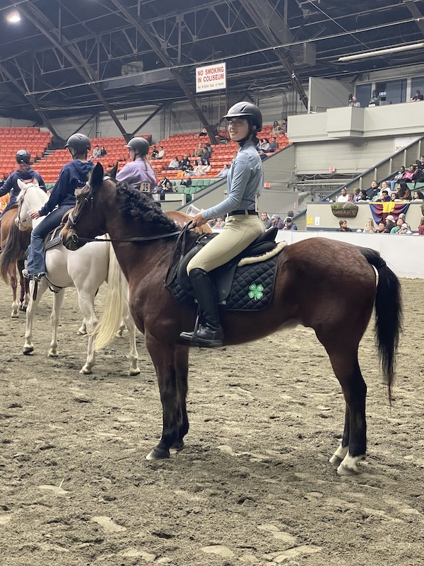 A Midcoast Mainer sitting on a horse in a competition area.