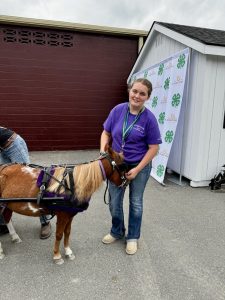 A Midcoast Mainer petting a pony.