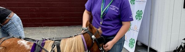 A Midcoast Mainer petting a pony.