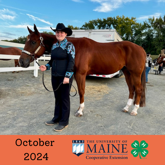 Newsletter Header featuring photo of a Midcoast Mainer leading a horse.