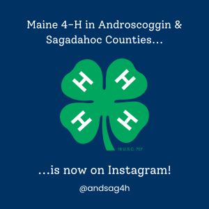 Graphic advertising the new county 4-H Instagram page. All information in text above.