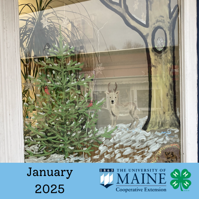 Newsletter header featuring a winter themed window painting.