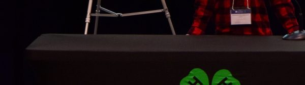 A child presenting on roller skating.