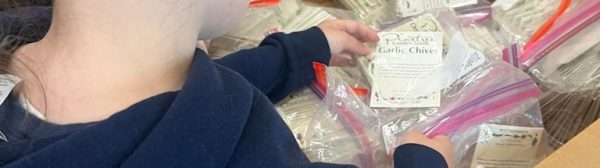 A child looking through a box of seed packets.