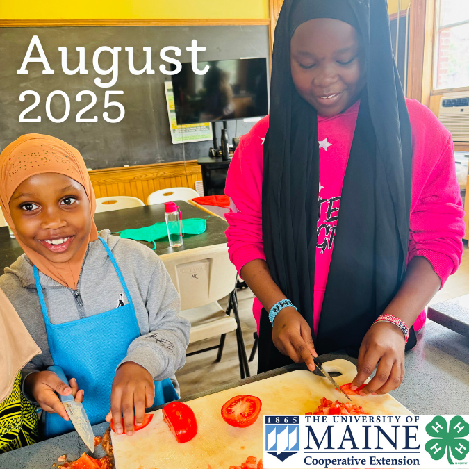 Newsletter header featuring two youths smiling while chopping tomatoes.