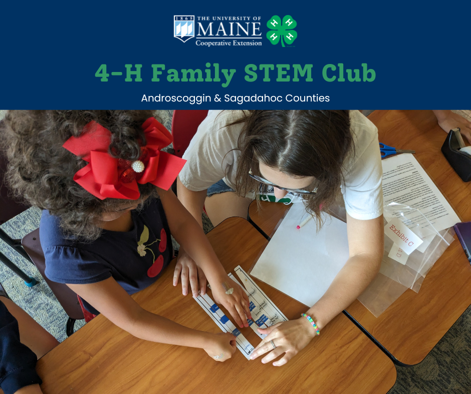 Flyer for Family STEM Club, featuring an adult and child collaborating on a STEM experiment.