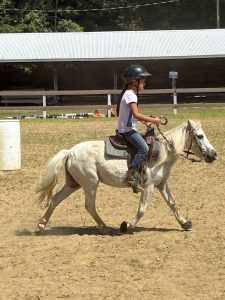 Midcoast Mainers member riding a mini horse