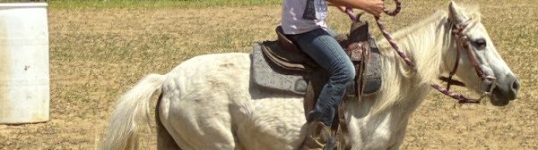 Midcoast Mainers member riding a mini horse