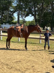 Midcoast Mainers member holding onto the lead of a horse
