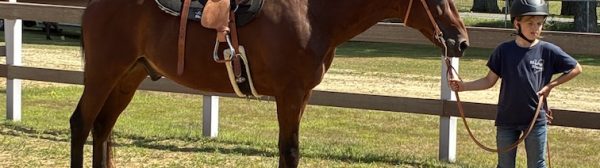 Midcoast Mainers member holding onto the lead of a horse