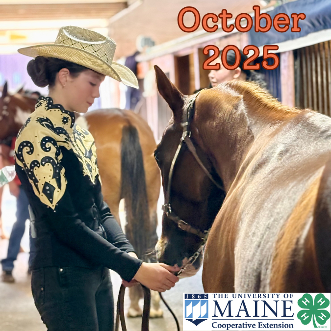 October 2025 Newsletter header featuring photo of a Midcoast Mainer leading horse