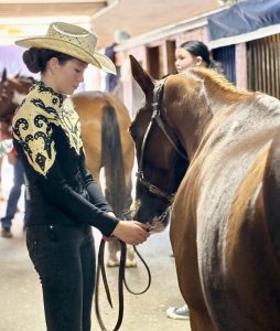 Midcoast Mainer leading horse